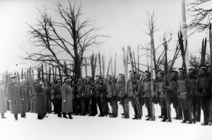 Император Николай II проводит смотр лыжников Лейб-гвардейского Измайловского полка. Царское село, 9 февраля 1914.
